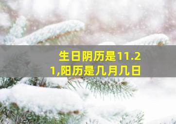 生日阴历是11.21,阳历是几月几日