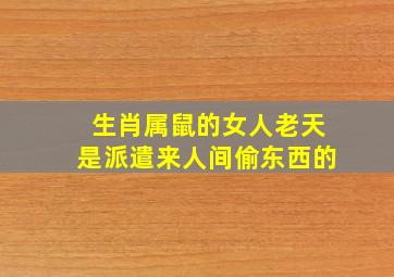 生肖属鼠的女人老天是派遣来人间偷东西的