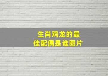 生肖鸡龙的最佳配偶是谁图片