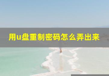 用u盘重制密码怎么弄出来