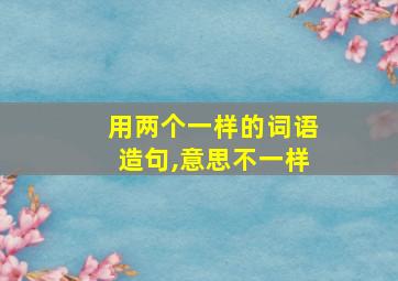 用两个一样的词语造句,意思不一样