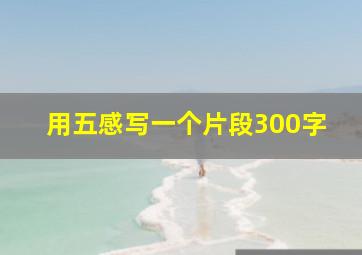 用五感写一个片段300字