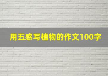 用五感写植物的作文100字