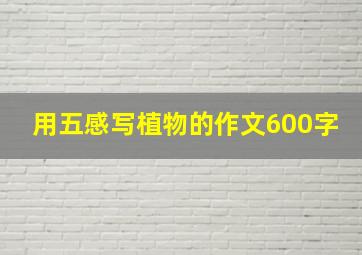 用五感写植物的作文600字