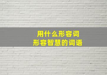 用什么形容词形容智慧的词语