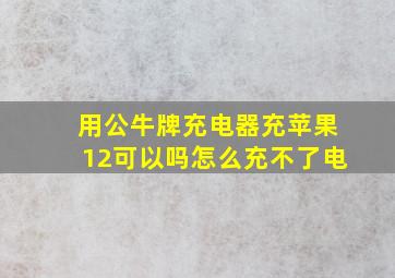 用公牛牌充电器充苹果12可以吗怎么充不了电