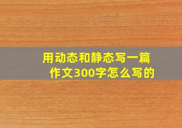 用动态和静态写一篇作文300字怎么写的