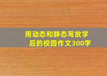 用动态和静态写放学后的校园作文300字