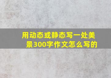 用动态或静态写一处美景300字作文怎么写的