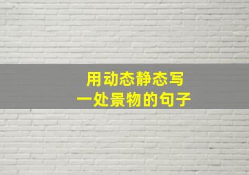 用动态静态写一处景物的句子