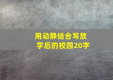 用动静结合写放学后的校园20字