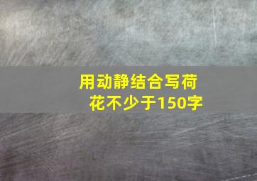 用动静结合写荷花不少于150字