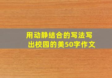 用动静结合的写法写出校园的美50字作文