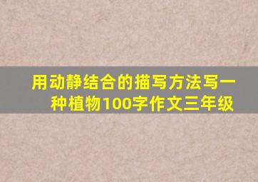 用动静结合的描写方法写一种植物100字作文三年级