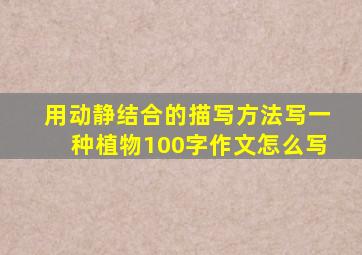 用动静结合的描写方法写一种植物100字作文怎么写