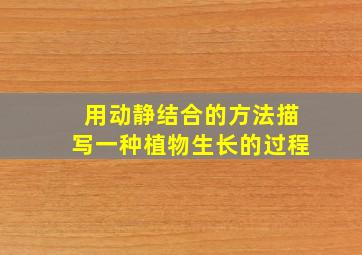 用动静结合的方法描写一种植物生长的过程