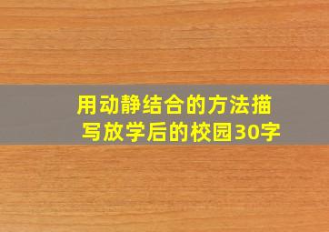 用动静结合的方法描写放学后的校园30字