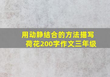 用动静结合的方法描写荷花200字作文三年级