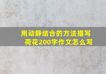 用动静结合的方法描写荷花200字作文怎么写