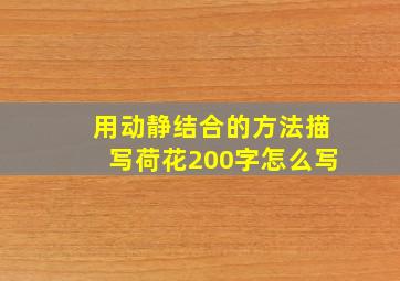 用动静结合的方法描写荷花200字怎么写