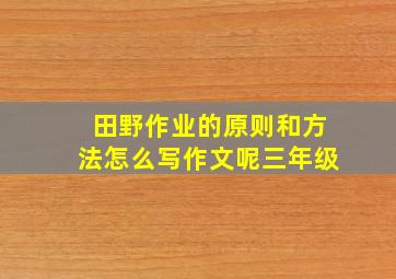 田野作业的原则和方法怎么写作文呢三年级