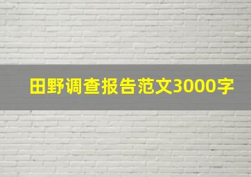 田野调查报告范文3000字