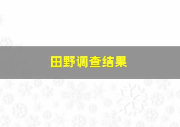 田野调查结果