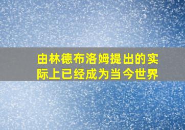 由林德布洛姆提出的实际上已经成为当今世界