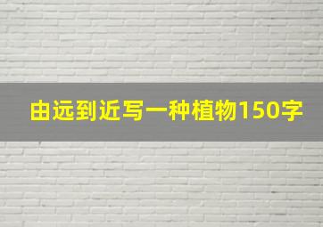 由远到近写一种植物150字