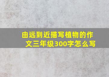 由远到近描写植物的作文三年级300字怎么写