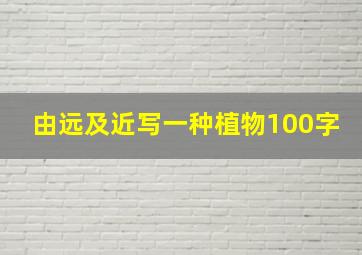 由远及近写一种植物100字