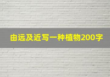 由远及近写一种植物200字