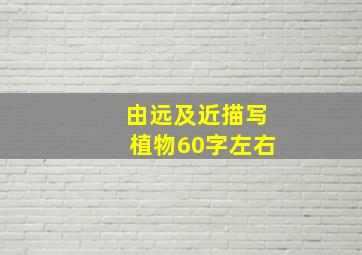 由远及近描写植物60字左右