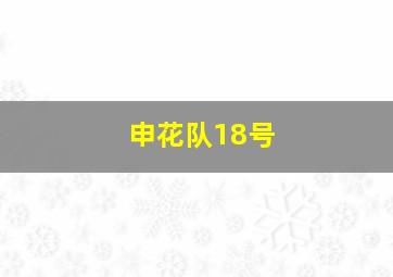 申花队18号