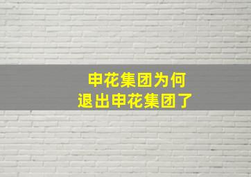 申花集团为何退出申花集团了