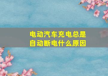 电动汽车充电总是自动断电什么原因