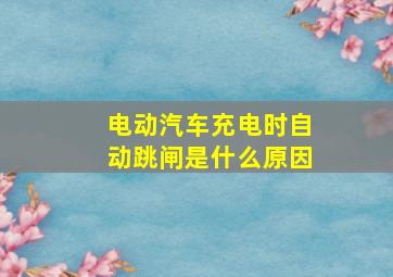 电动汽车充电时自动跳闸是什么原因