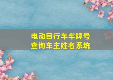 电动自行车车牌号查询车主姓名系统