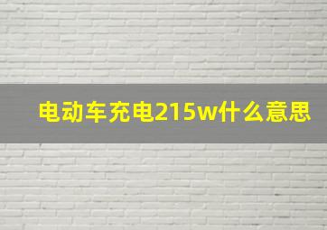 电动车充电215w什么意思