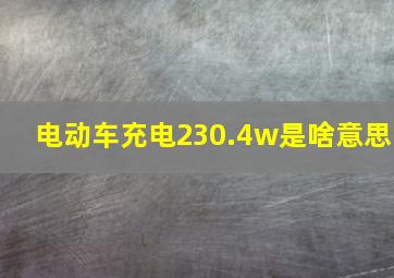 电动车充电230.4w是啥意思