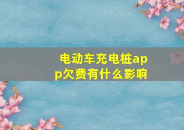 电动车充电桩app欠费有什么影响