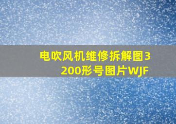 电吹风机维修拆解图3200形号图片WJF