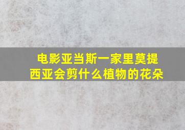 电影亚当斯一家里莫提西亚会剪什么植物的花朵