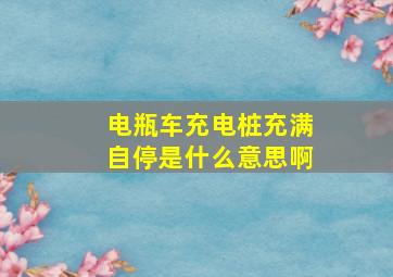 电瓶车充电桩充满自停是什么意思啊