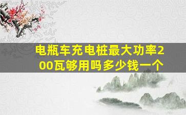 电瓶车充电桩最大功率200瓦够用吗多少钱一个