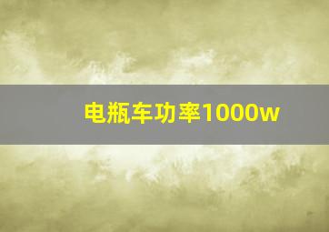 电瓶车功率1000w