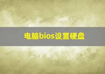 电脑bios设置硬盘