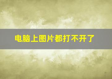 电脑上图片都打不开了