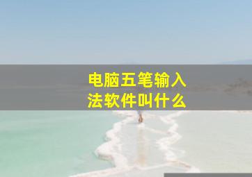 电脑五笔输入法软件叫什么