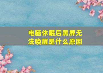 电脑休眠后黑屏无法唤醒是什么原因